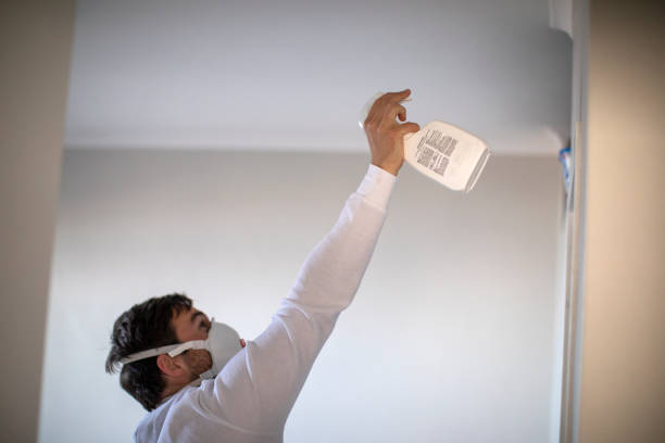 Best Water Damage Restoration  in Judsonia, AR