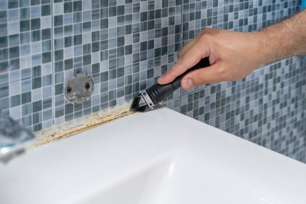 Best Same-Day Mold Removal  in Judsonia, AR